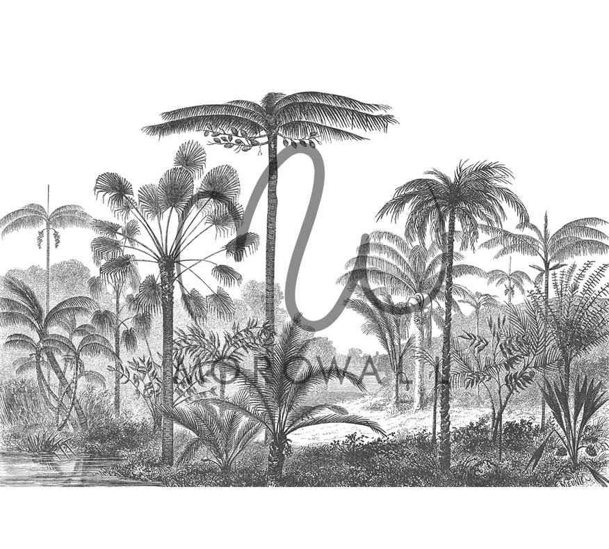 Papier peint vintage noir et blanc avec motif jungle tropicale et palmiers dessinés.