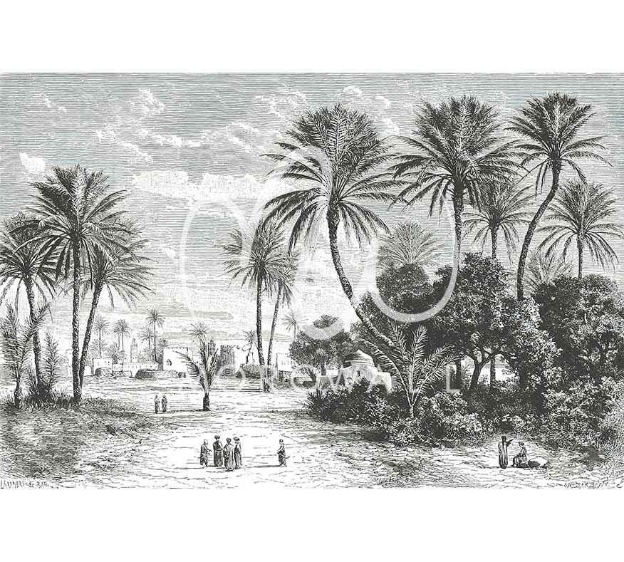 Papier peint noir et blanc illustrant une oasis marocaine avec palmiers et village en arrière-plan