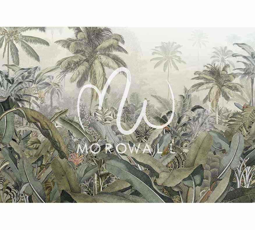 Papier Peint la forêt - Morowall