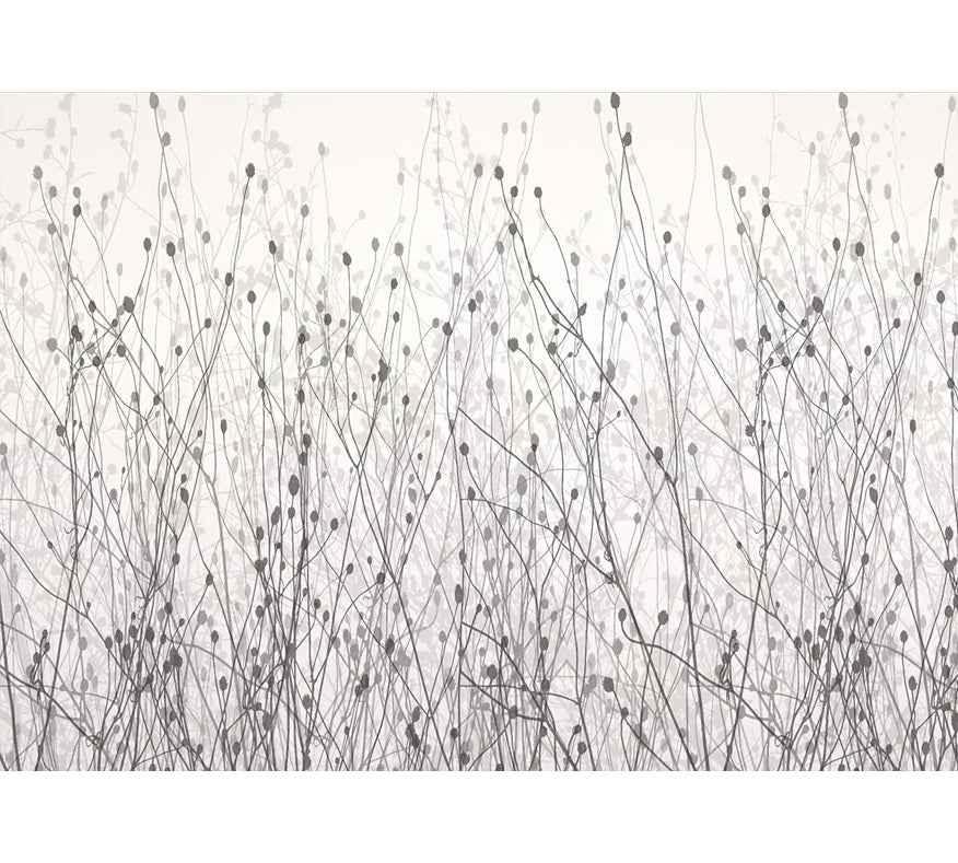 Papier peint design champ floral minimaliste gris pour salon ou chambre, décoration murale élégante