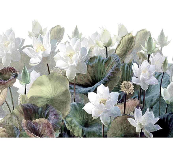White Flowers - Morowall