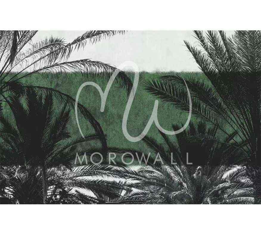 Papier Peint Black and Green - Morowall 